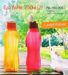 Eco-Bottle-750ml-Tupperware-November-2014